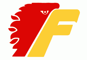 Philadelphia Firebirds 1977 78-1978 79 Primary Logo iron on transfers for clothing